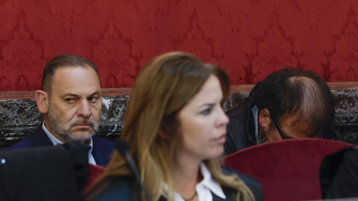 
                        El juicio al exministro Ábalos: aquí nadie sabe nada
                    