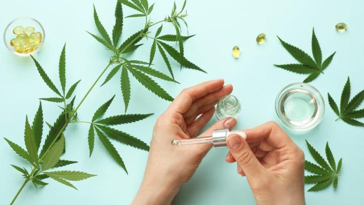 
                                                               Cannabis medicinal: qué permite y qué prohíbe la normativa
                                                           