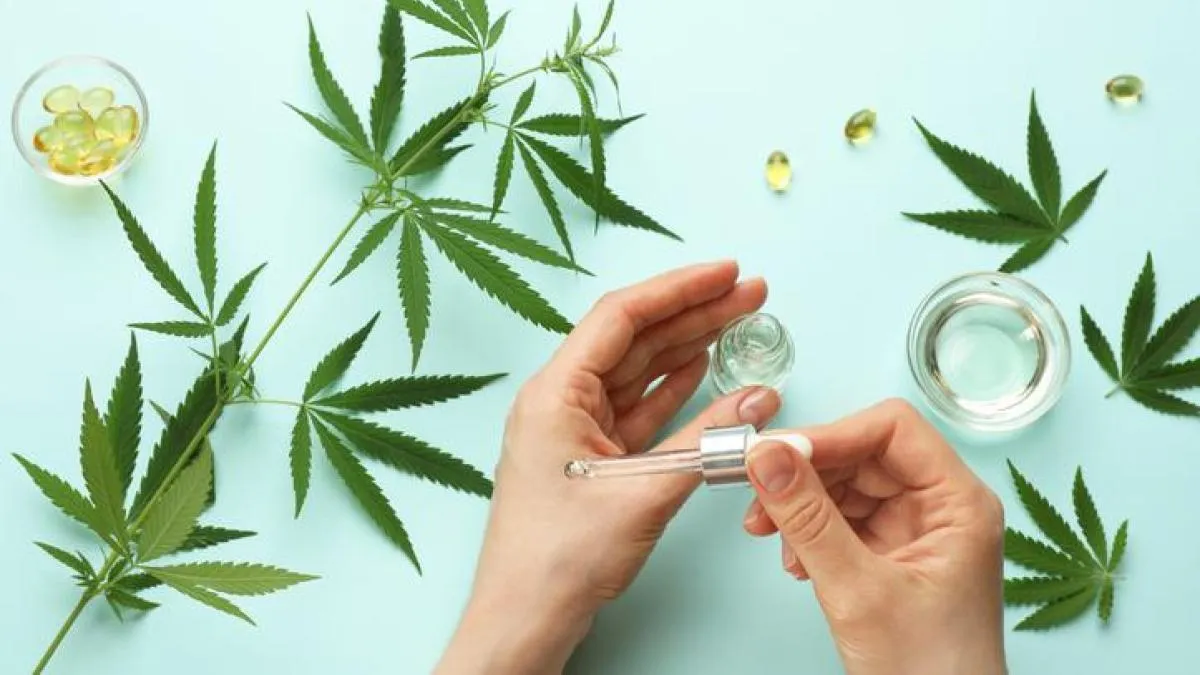 
                                                               Cannabis medicinal: qué permite y qué prohíbe la normativa
                                                           