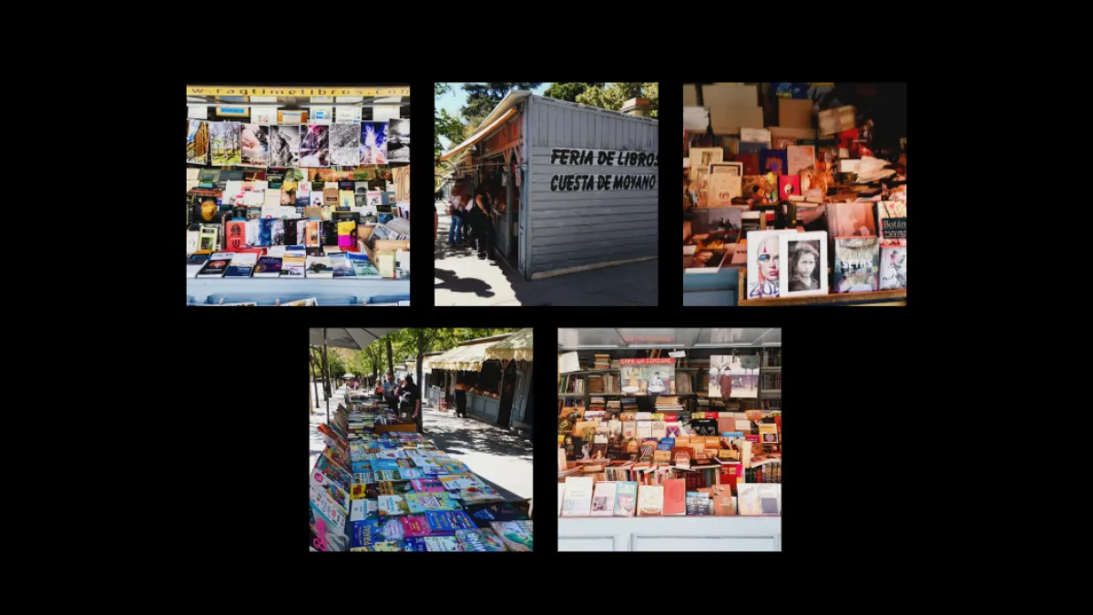 
                                                                                                                                                    La Feria de Libros de la Cuesta de Moyano
                                                                                                                                                