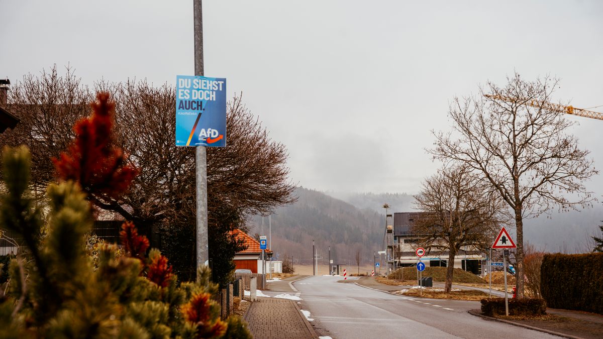 AfD-Erfolg in Rottweil-Tuttlingen: Warum die AfD in wohlhabenden Regionen punktet