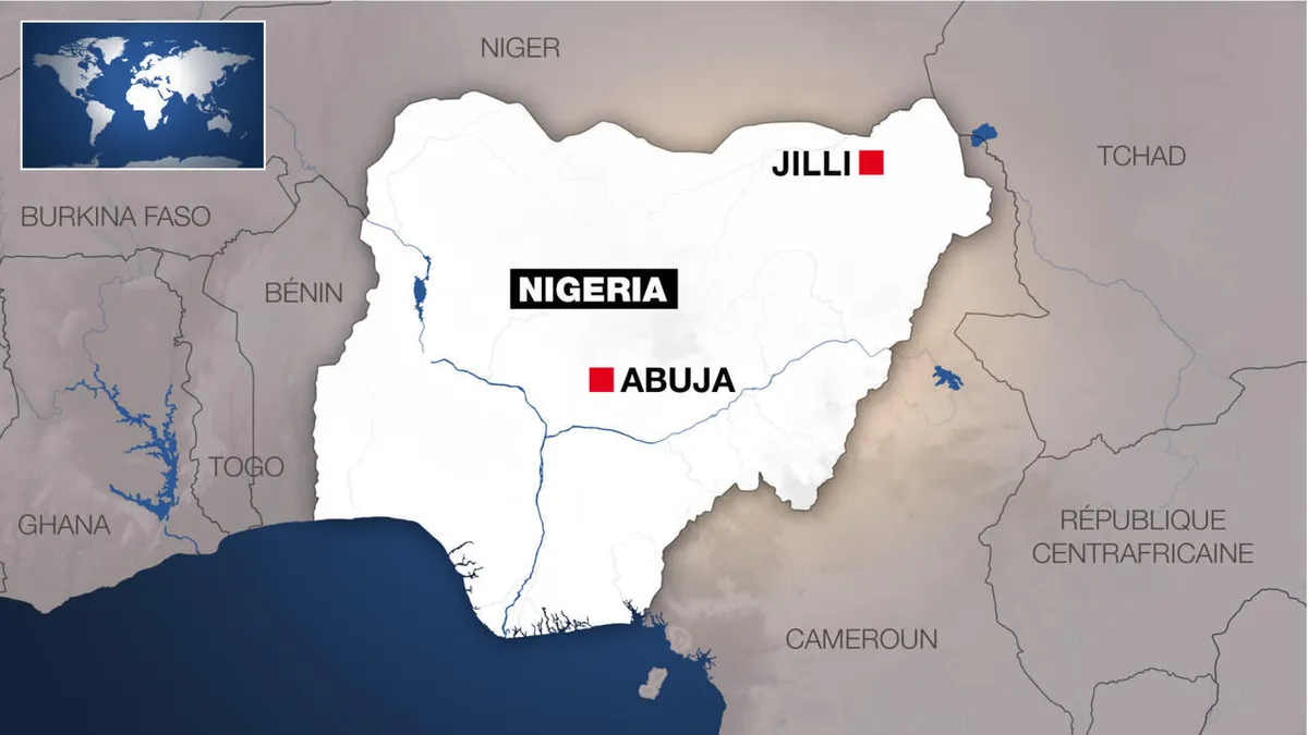 Nigeria: des dizaines de personnes tuées dans des frappes aériennes de l'armée dans l'État de Yobe
