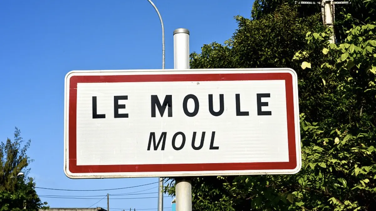 Un homme armé tué par un gendarme en Guadeloupe, le tireur placé en garde à vue