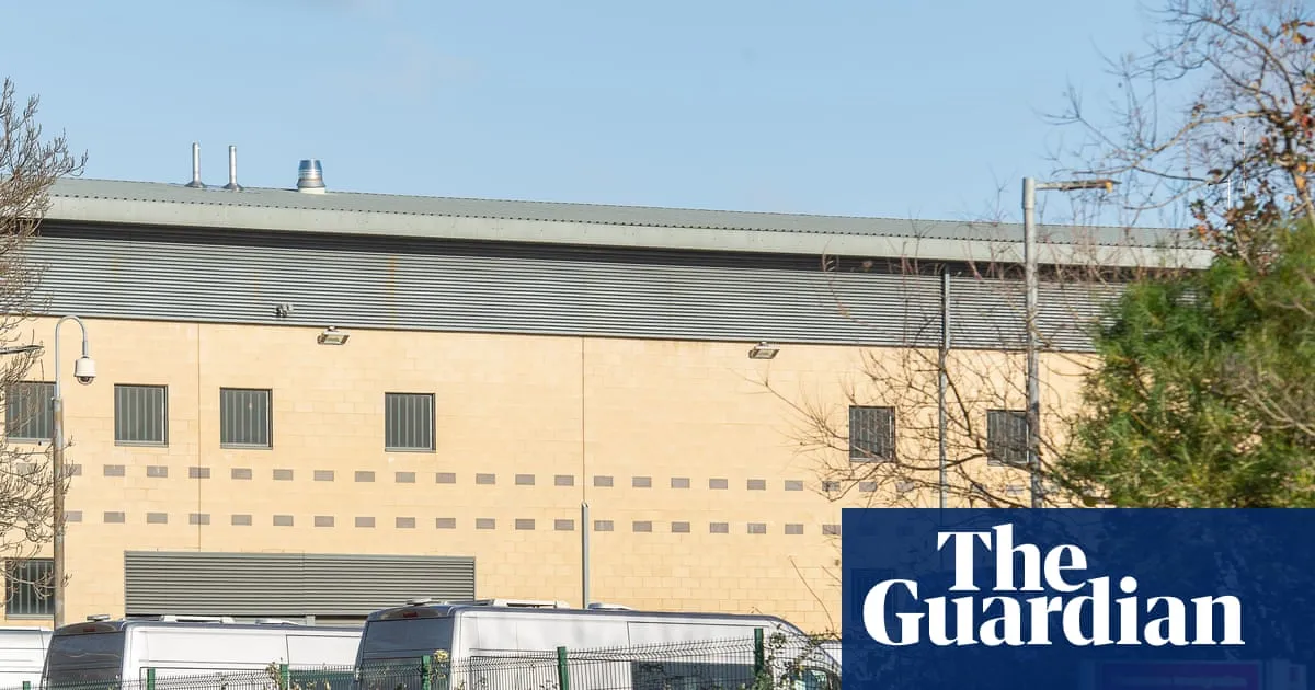 Asylum seekers removed from UK in waist and leg restraints, report finds