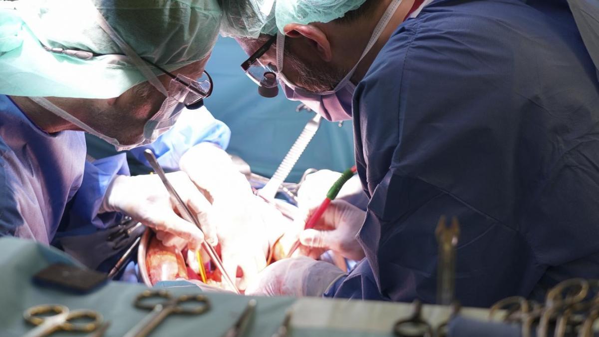 
                                           Bellvitge aplica una cirugía pionera en tumores de páncreas considerados inoperables
                                       