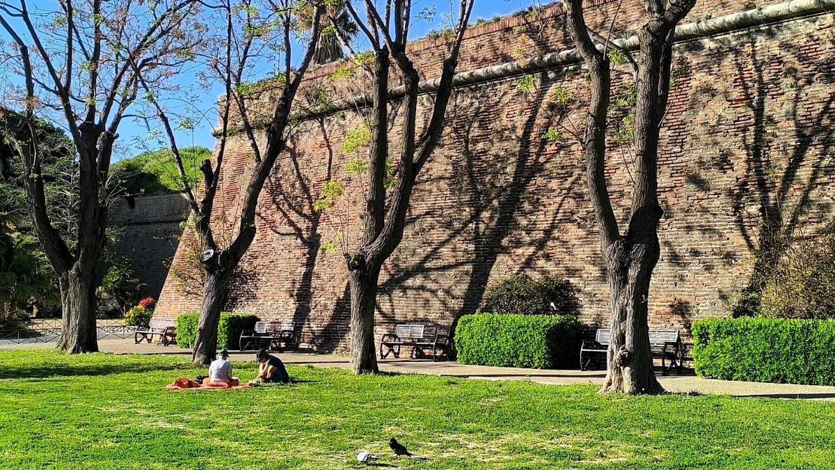 
                                                                                                                                     Un jardín para sentirte como un rey
                                                                                                                                 