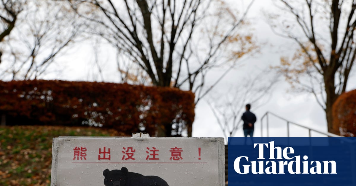 Bear attacks man in public toilet in Japan