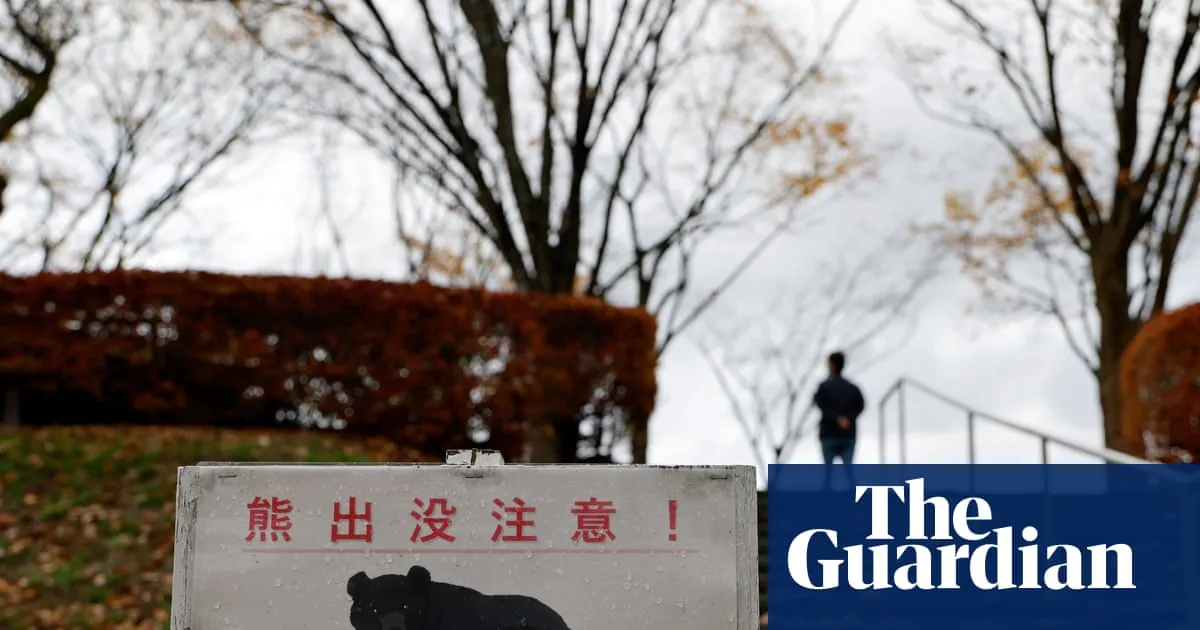 Bear attacks man in public toilet in Japan