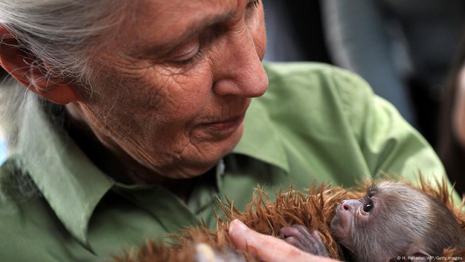 Conservationist Jane Goodall: 'The biggest problem is greed'
