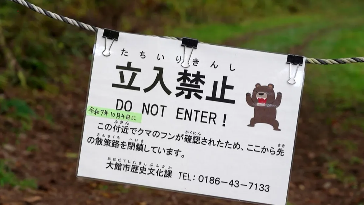 Face au record d’attaques, le Japon veut tuer plus de 10 000 ours en un an