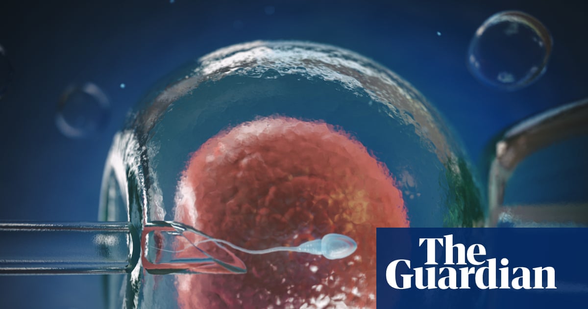 Could egg defect breakthrough help stop the ‘horrible IVF rollercoaster’?