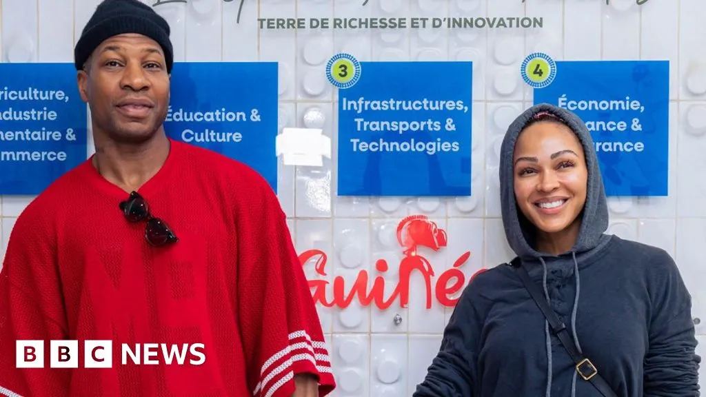 US film stars Meagan Good and Jonathan Majors to become Guinea citizens after DNA tests