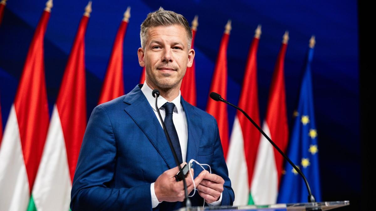 
                La Hungría que quiere Magyar
            