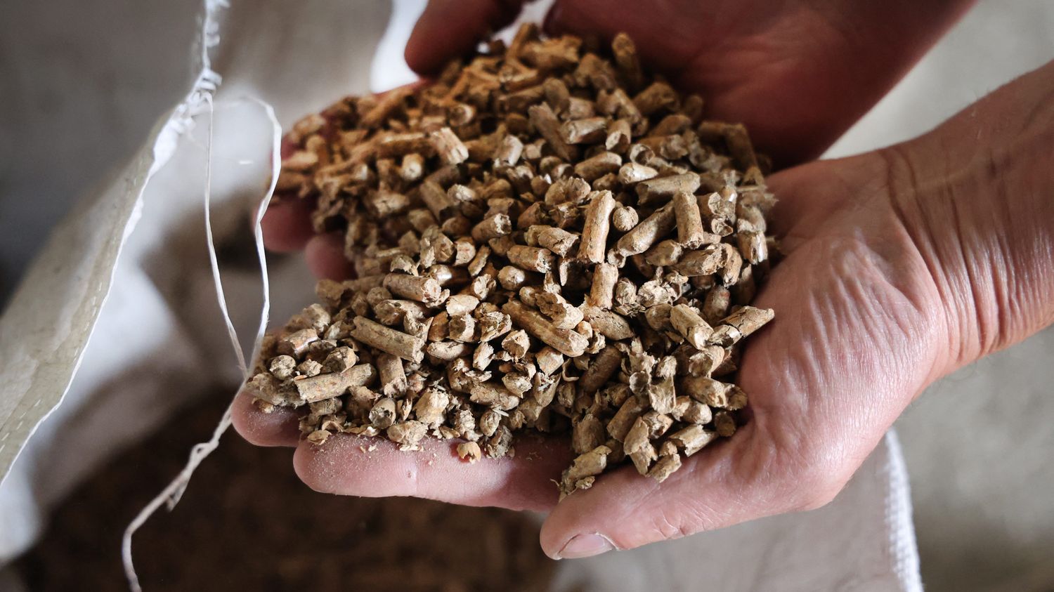 L'Anses alerte sur le stockage des granulés de bois de chauffage, qui peuvent libérer du monoxyde de carbone dans les habitations