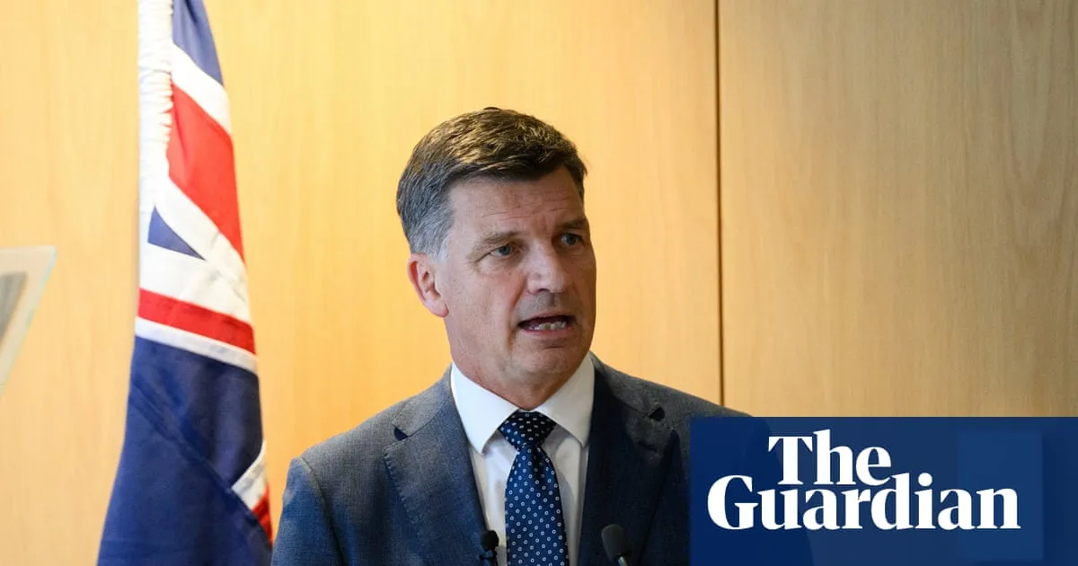 Angus Taylor accused of ‘desperate dog-whistle’ immigration speech as Pauline Hanson takes credit