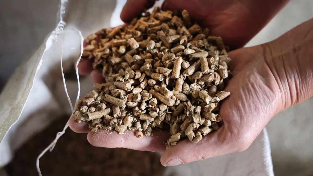 L'Anses alerte sur le stockage des granulés de bois de chauffage, qui peuvent libérer du monoxyde de carbone dans les habitations