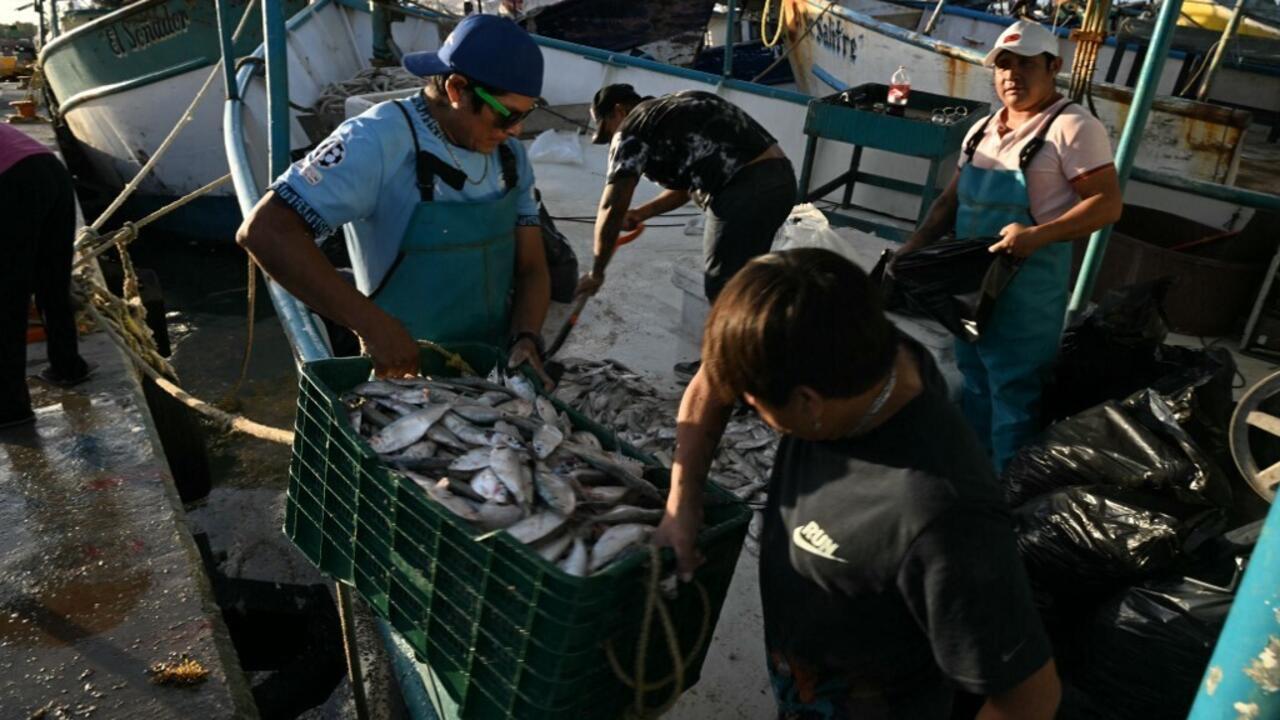 Les pêcheurs du golfe du Mexique touchés par la marée noire qui a frappé ses plages