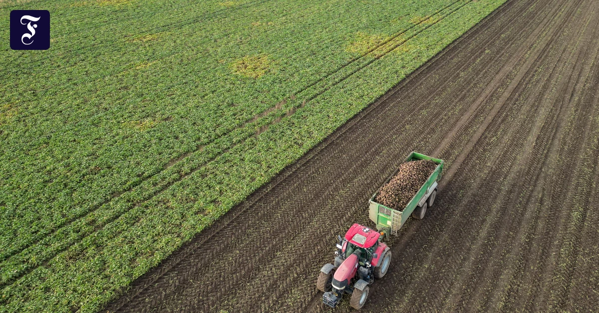 Traditionsbetrieb ist Zahlungsunfähig: Zulieferer Erich Jaeger aus Friedberg stellt Insolvenzantrag