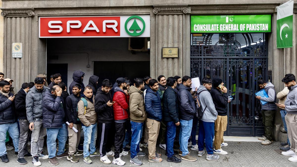 
            Guía rápida de la regularización de inmigrantes: requisitos, trámites, plazos, permisos y calendario
        