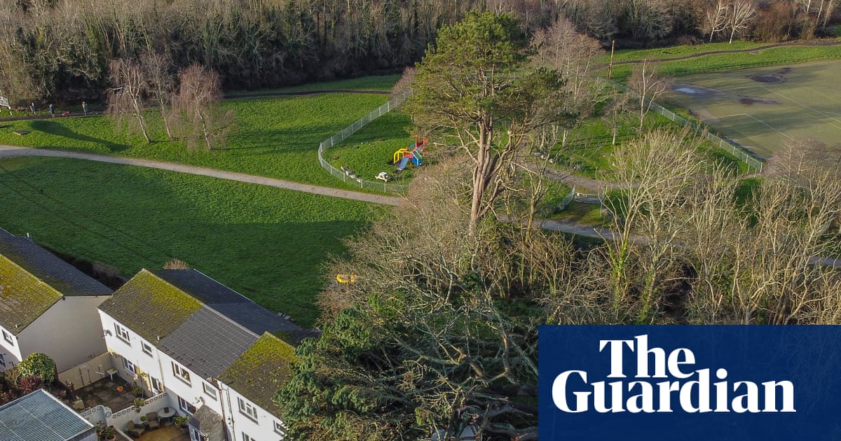 Man dies after tree felled by Storm Goretti hits caravan in Cornwall
