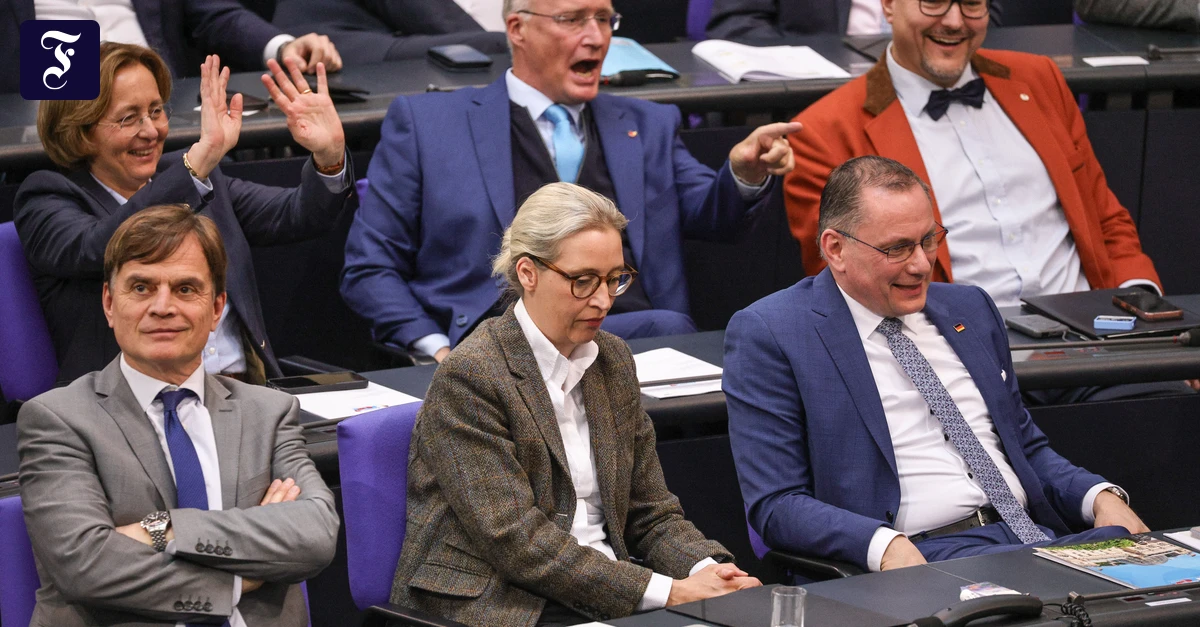Volkswille: Dieses Wahlsystem würde die AfD politisch entlarven