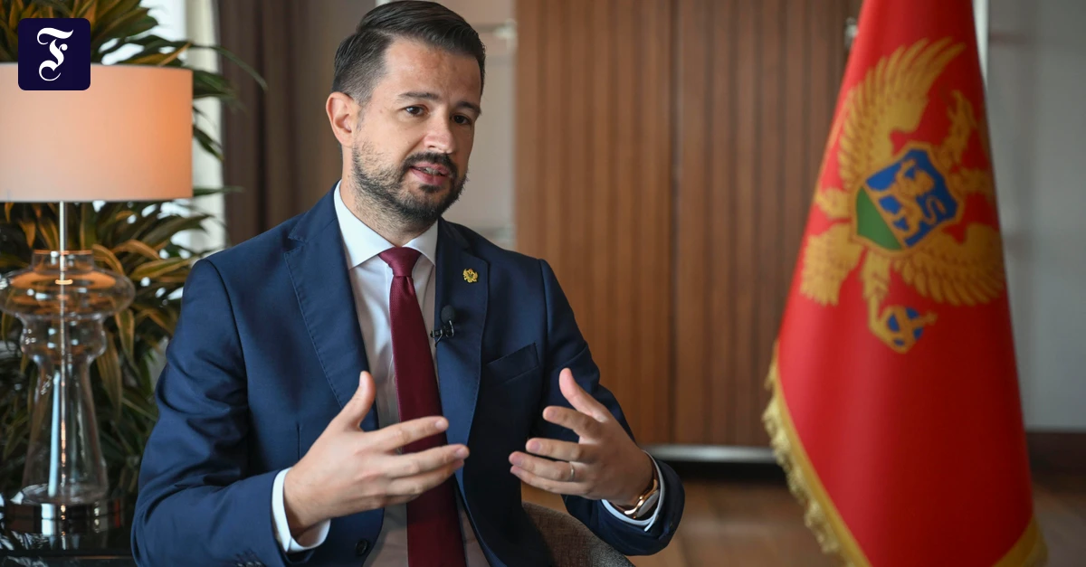 Präsident Jakov Milatović: „Unser EU-Beitritt wäre größer als Montenegro selbst“