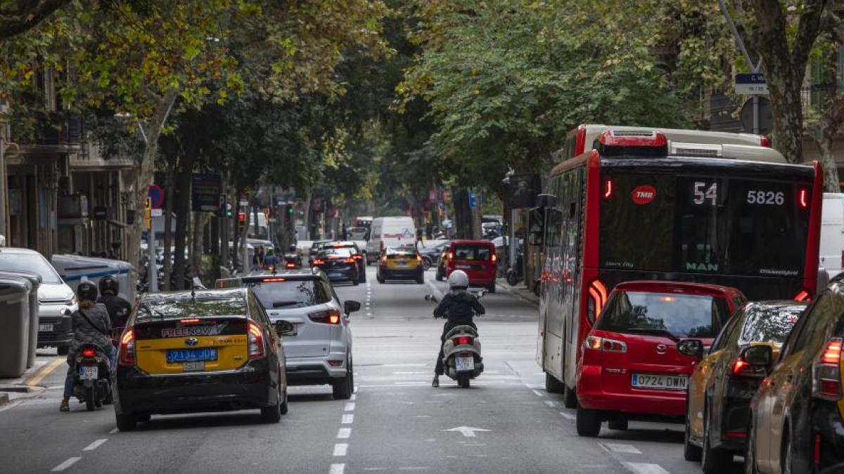 
                                                                                                   Muere una mujer de 83 años tras ser atropellada en Sarrià-Sant Gervasi
                                                                                               