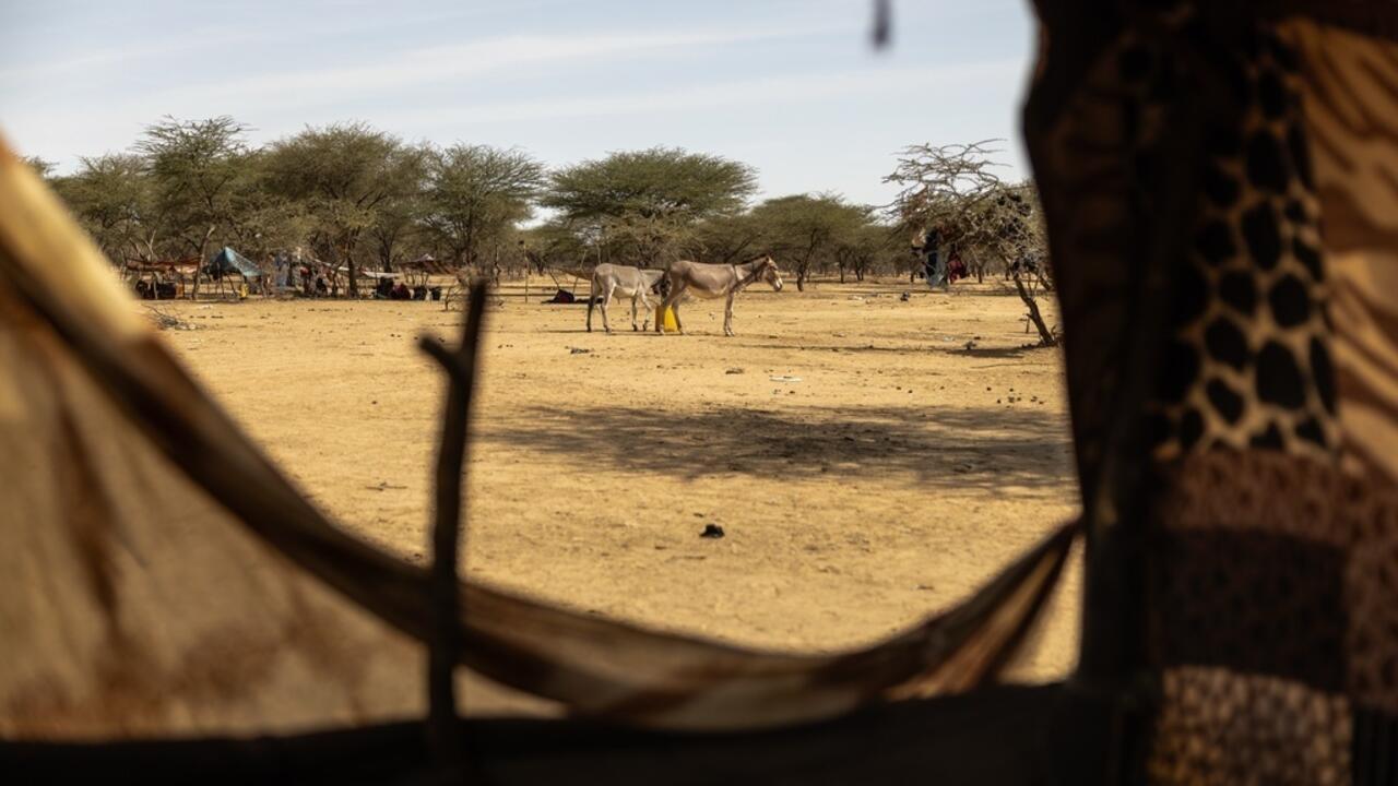 Mali-Mauritanie: «La situation ne va pas se dégrader», estime un ancien responsable de la Sûreté mauritanienne