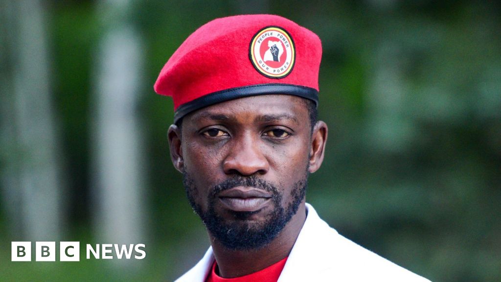 'Hounded and harassed': The former pop star taking on Uganda's long-time president