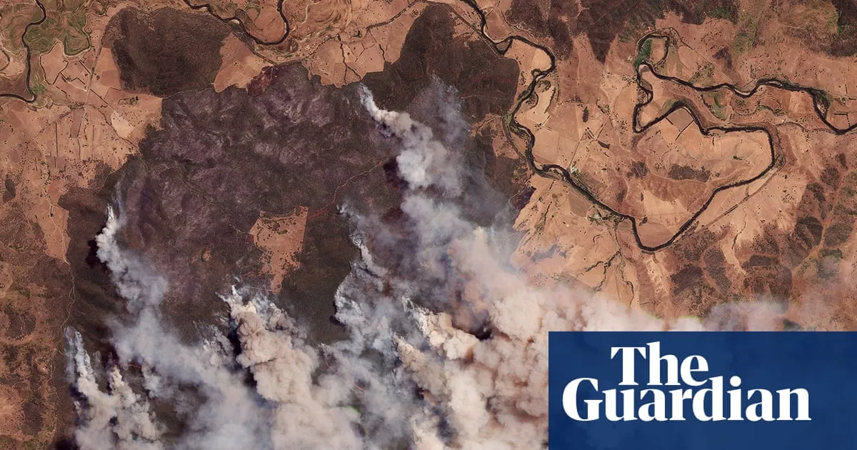 ‘We’ve got your back’: Australian PM visits bushfire-ravaged towns as 300 structures destroyed and 350,000 hectares burned
