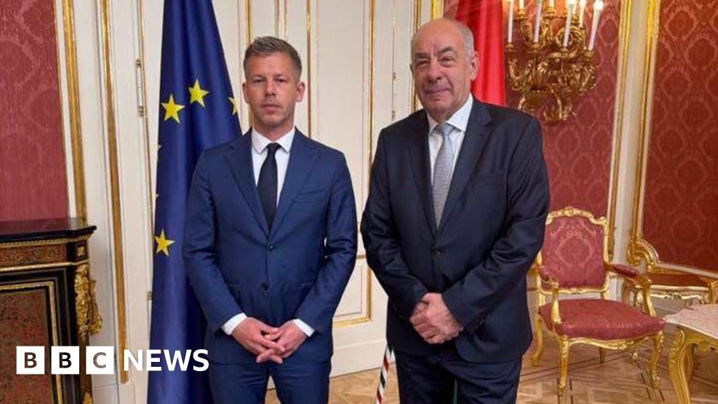 Magyar to meet Hungarian president as Trump says next PM 'a good man'