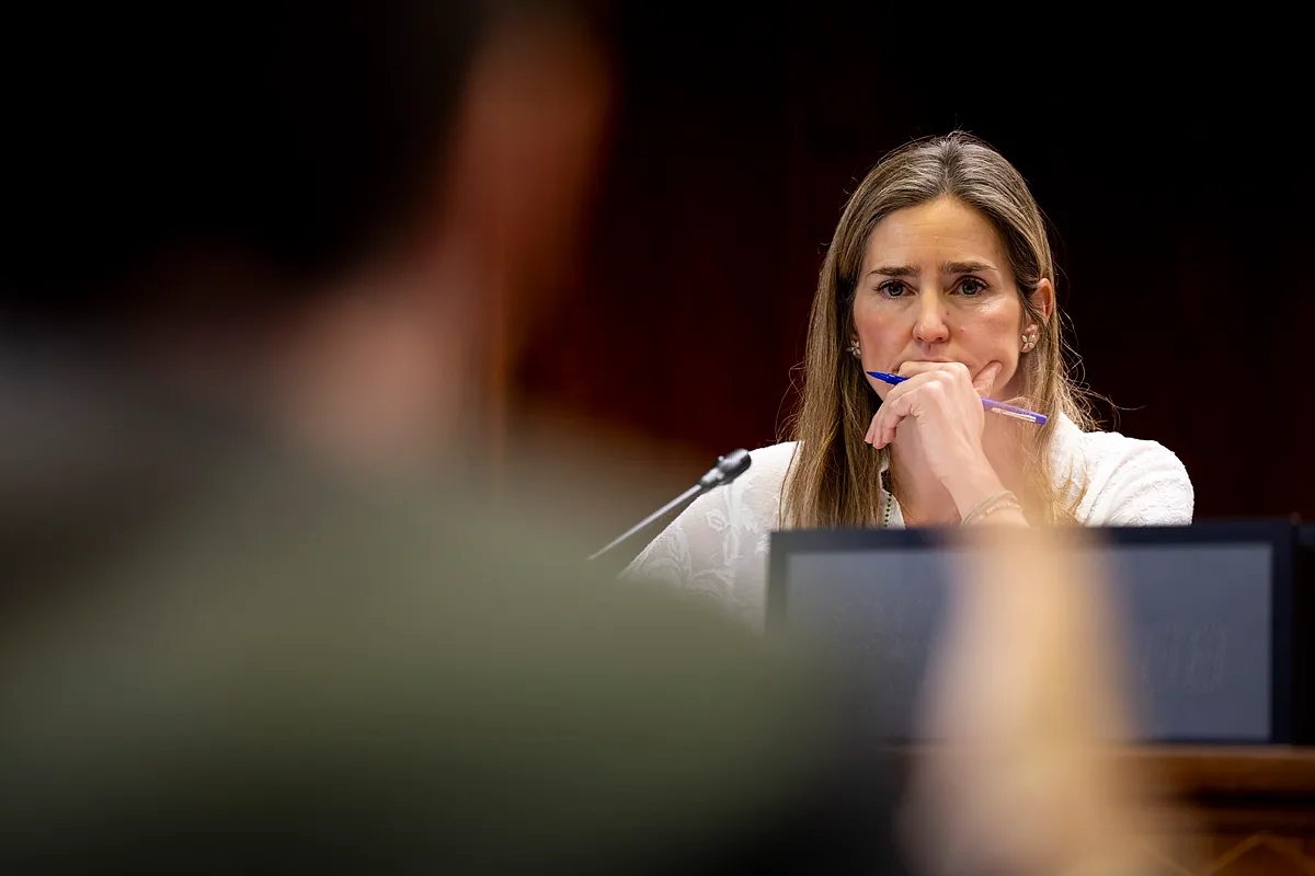 El informe del PP sobre el apagón en el Senado culpa a Red Eléctrica, al Gobierno y a la CNMC: "No fue un accidente imprevisible"