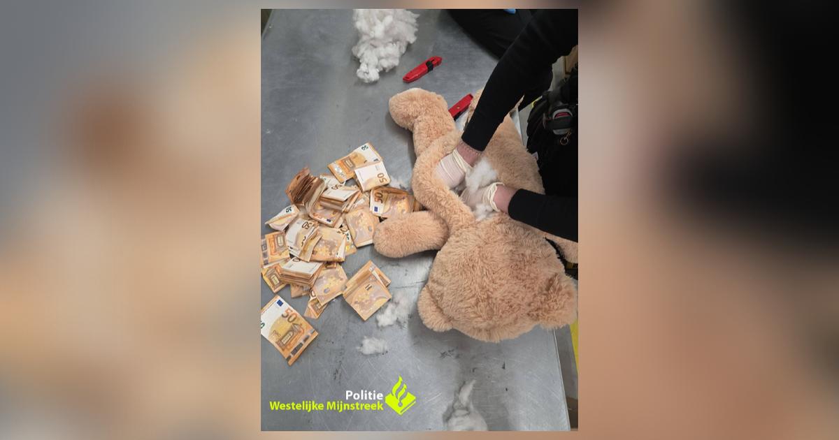 50.000 euros en billets dissimulés dans un ours en peluche saisis par la police néerlandaise