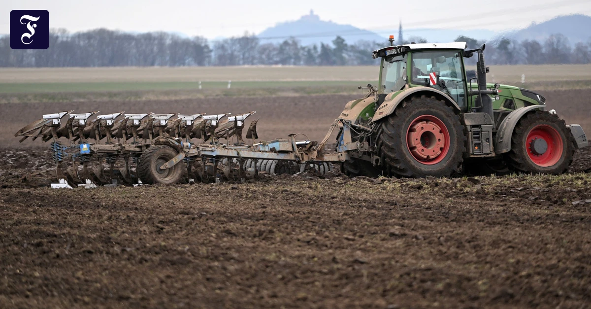 EU-haushalt: Sparen sollen die anderen