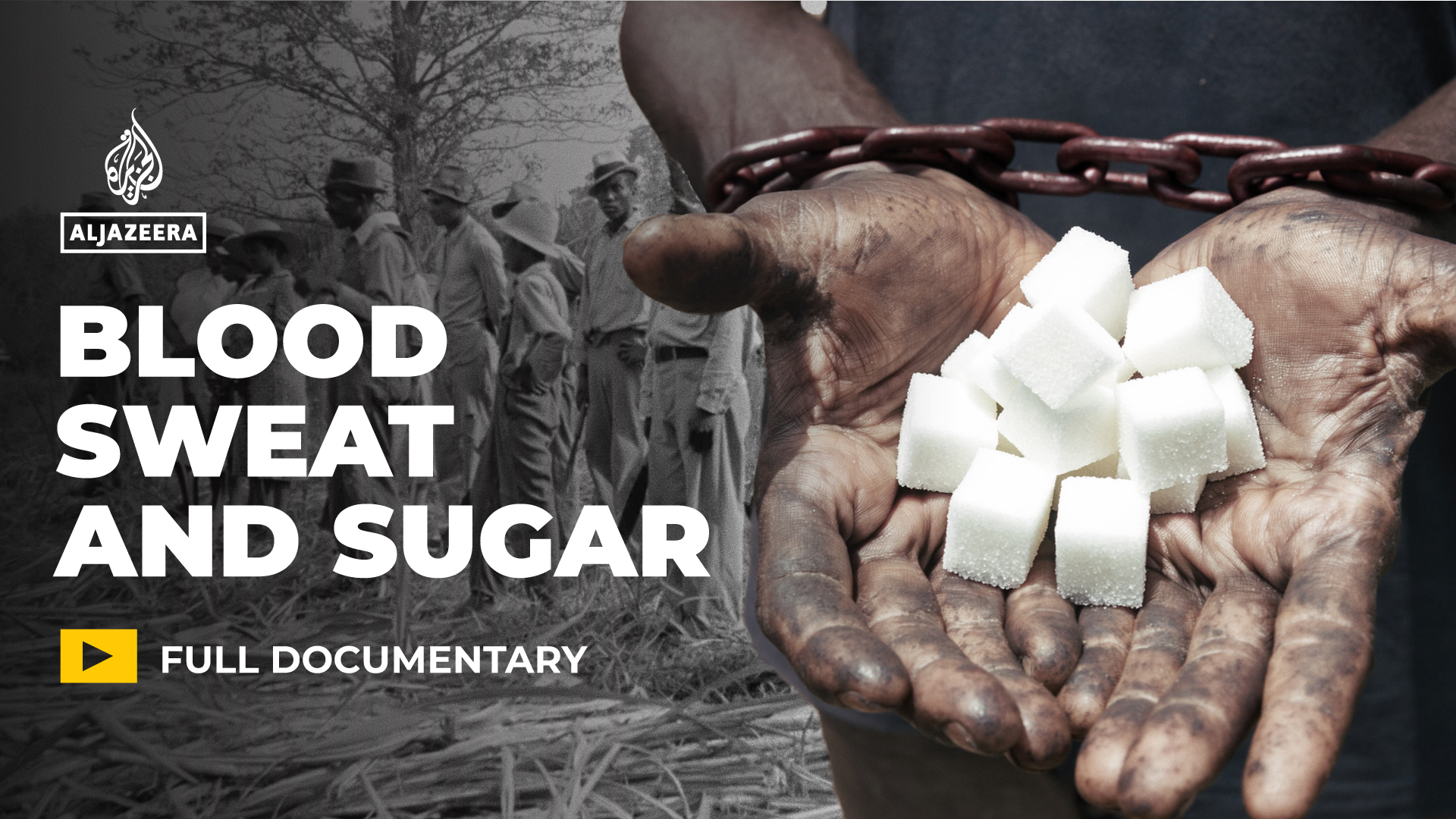 Blood, Sweat and Sugar