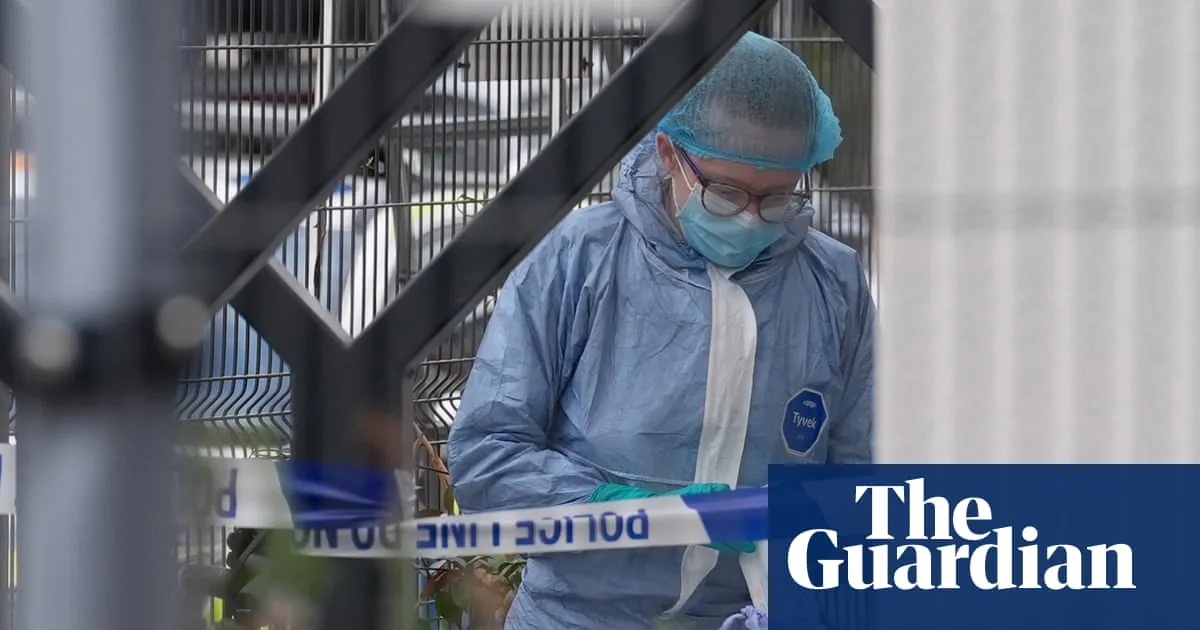 Two arrested over attempted arson attack on synagogue in north London