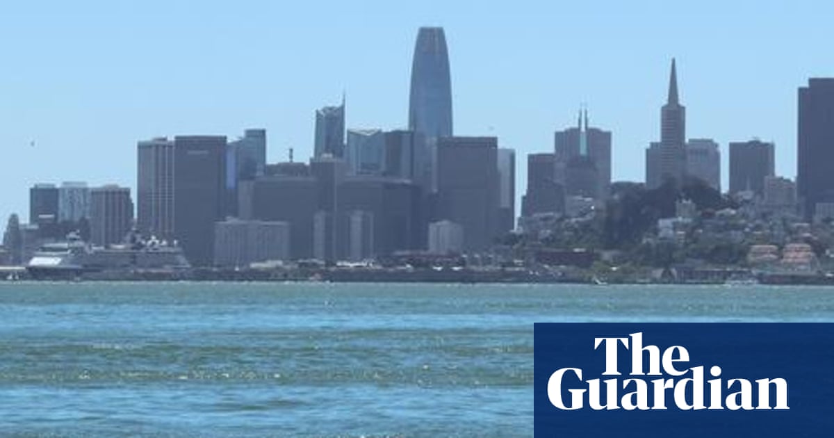 Gray whales, once rare in San Francisco Bay, dying there at alarming rates