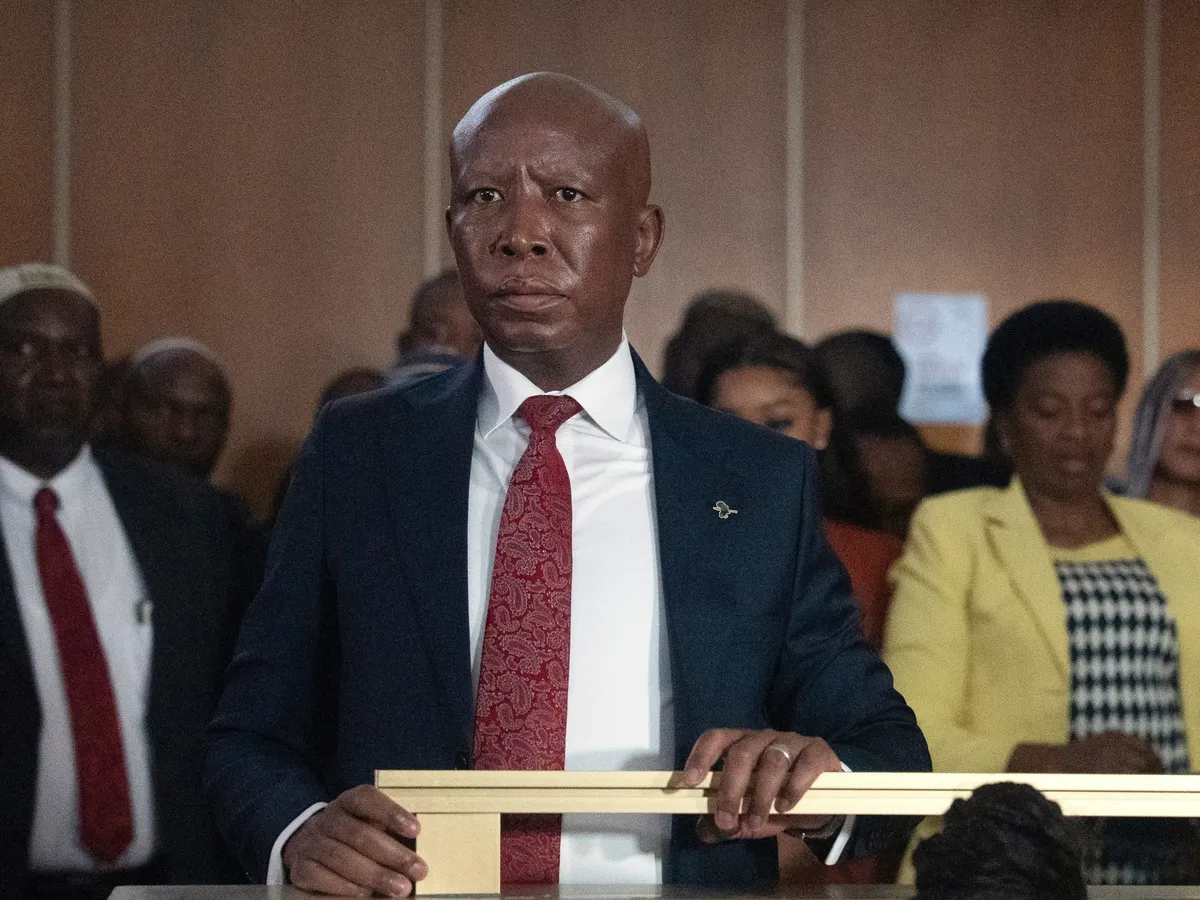 South African politician Julius Malema sentenced to prison for firing gun