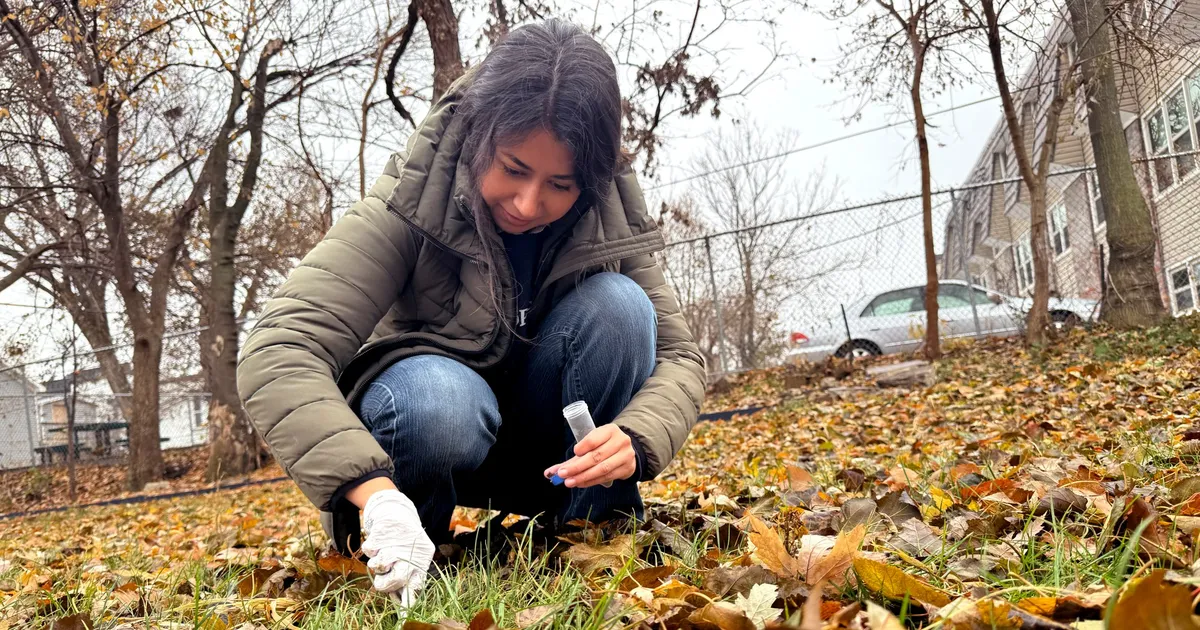 What You Should Know About Lead Contamination in Omaha, Nebraska