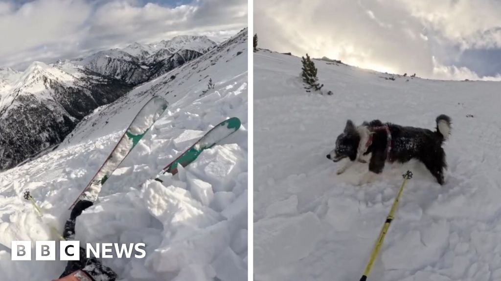 Watch: Moment skier and dog swept along by avalanche