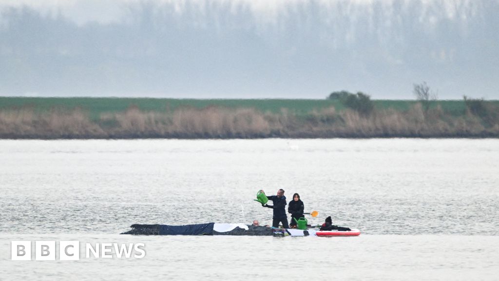 Rescuers to use air cushions in latest effort to save stranded whale