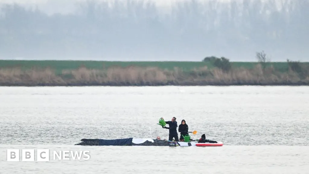 Rescuers to use air cushions in latest effort to save stranded whale