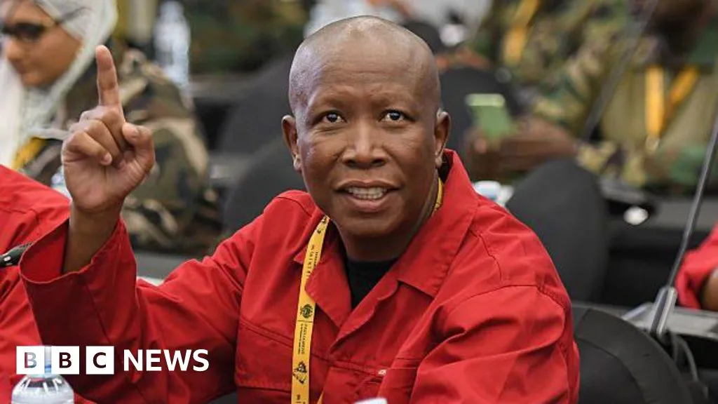 What next for South African opposition firebrand Malema after his five-year prison sentence?