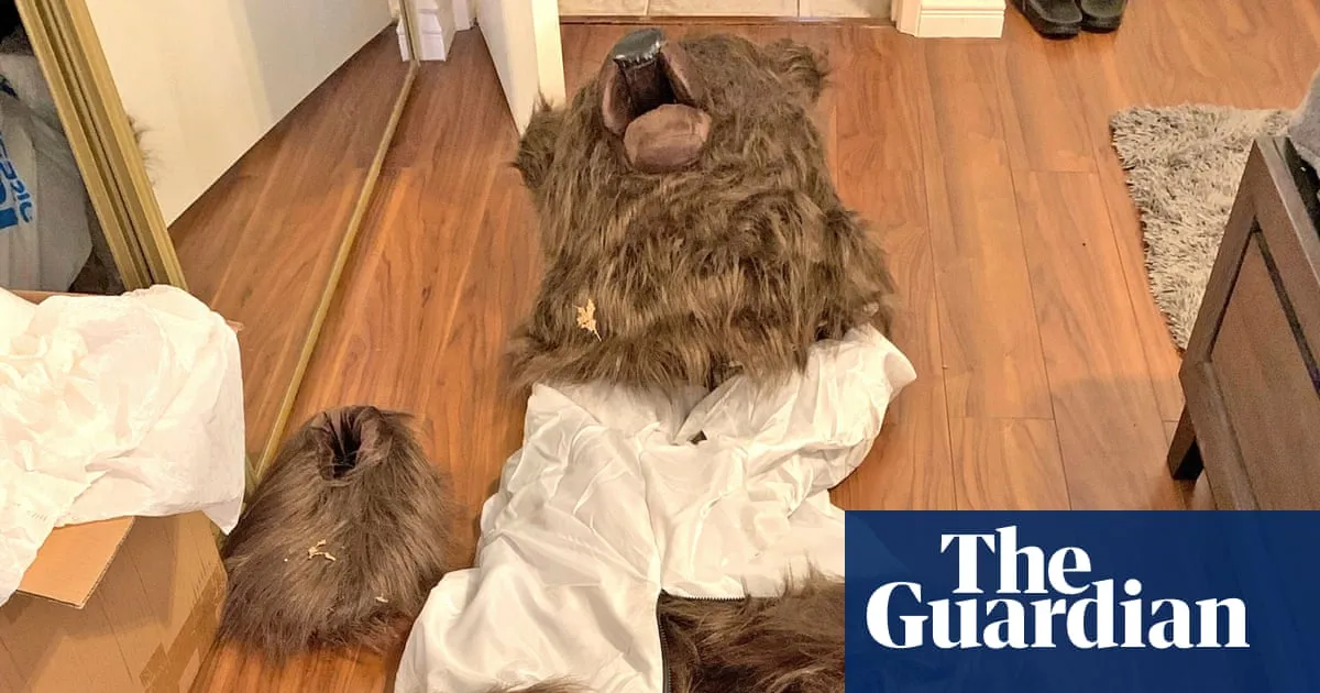Three people sentenced to jail for bear-suit insurance scam in California