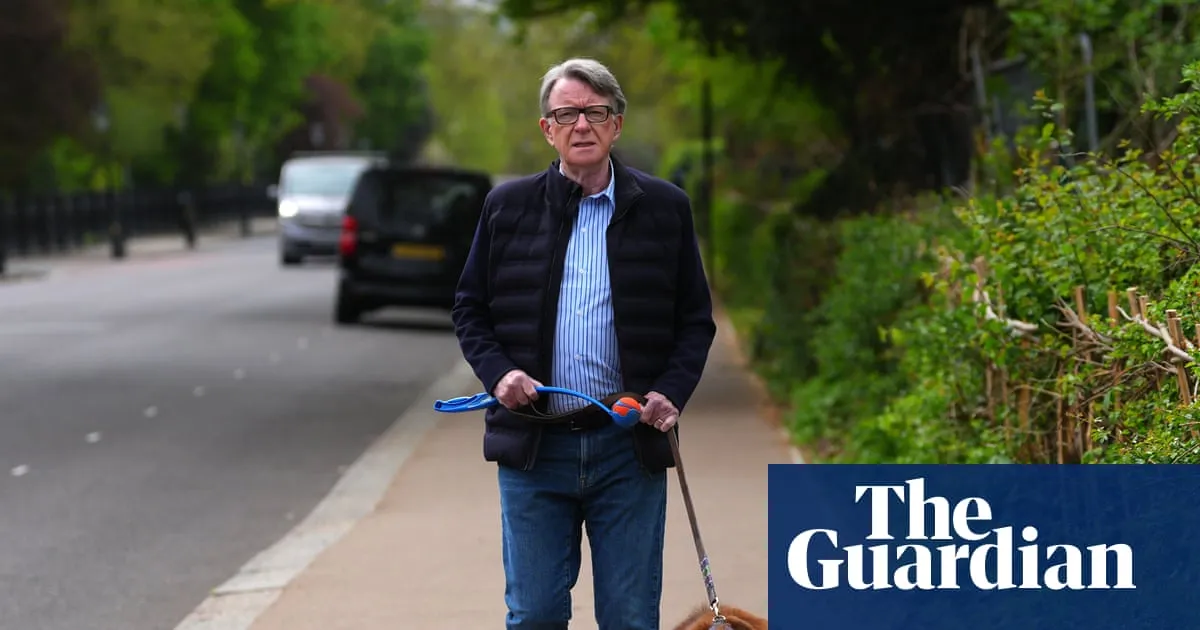 Ministers urged to share Mandelson vetting files with intelligence committee