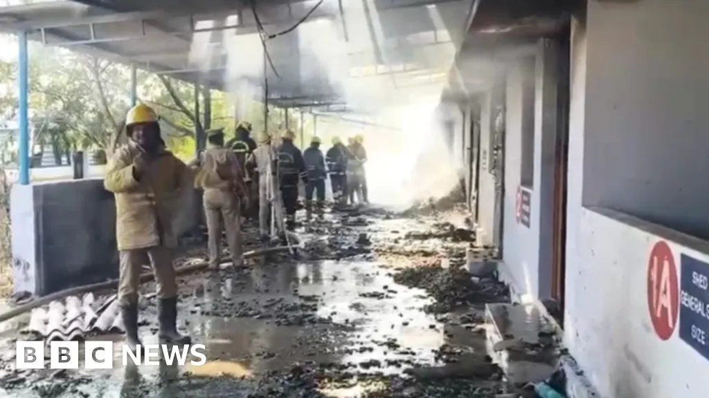 At least 25 killed in firecracker factory blast in India
