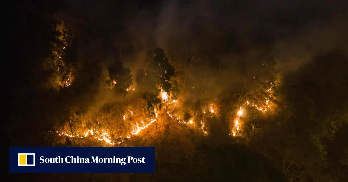 ‘Worst I’ve seen’: forest fires rage across Thailand, Mekong region