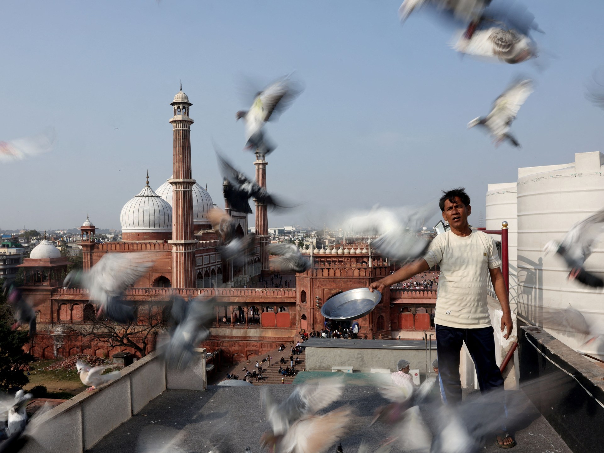 Mughal-era pigeon training survives in heart of India’s capital