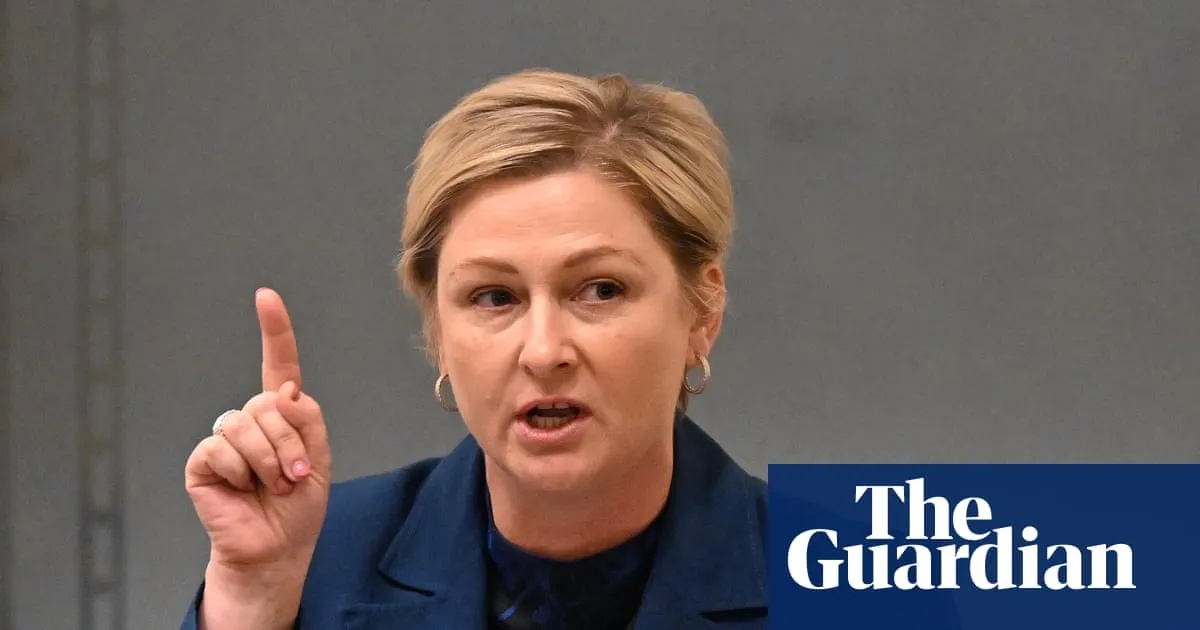 Labor to tighten child NDIS eligibility to curb spending as Queensland MP warns change is ‘failing kids’