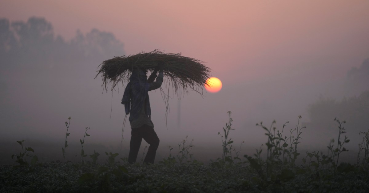 As Iran crisis drags on, fears of global food catastrophe grow